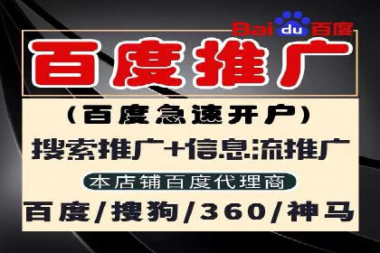 某知名品牌网络推广竞价全解析